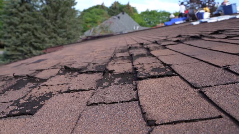 Best Rubber Roofing (EPDM, TPO)  in Medford, MA